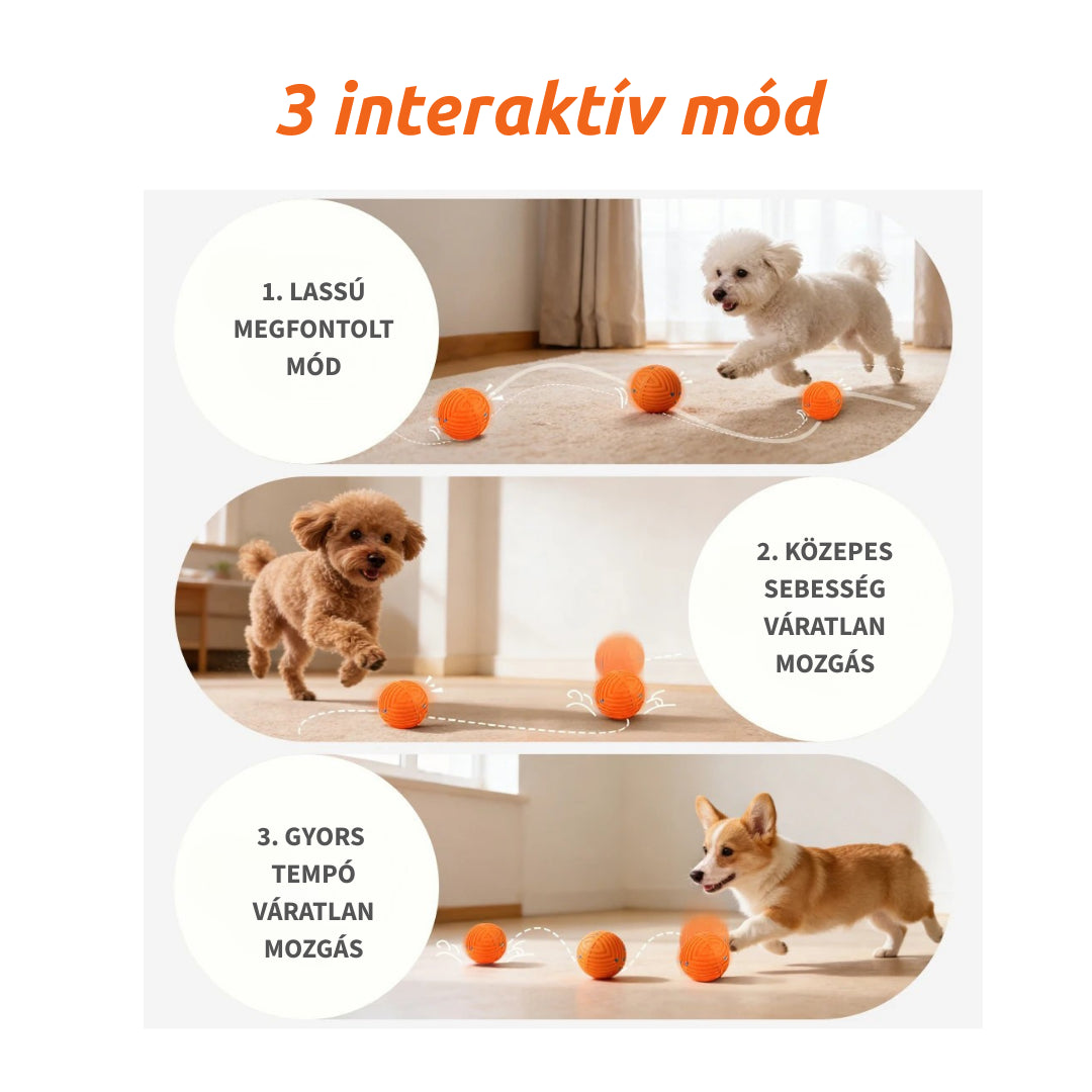 ACTIVEPET™ SMARTBALL