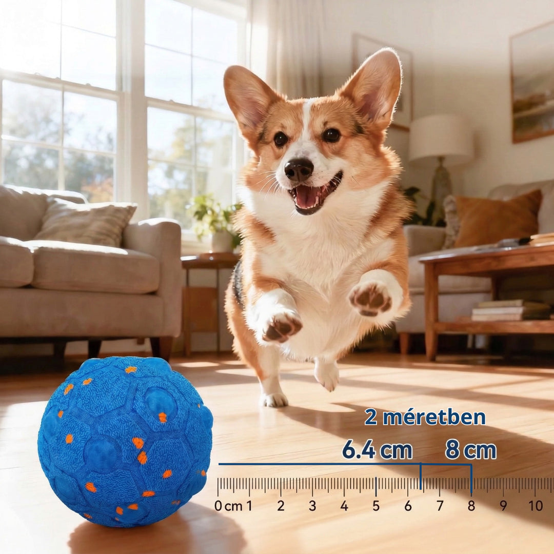 ACTIVEPET™ SMARTBALL