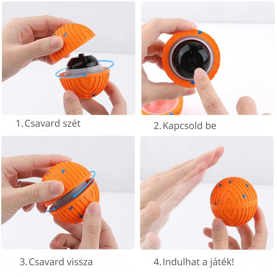 ACTIVEPET™ SMARTBALL